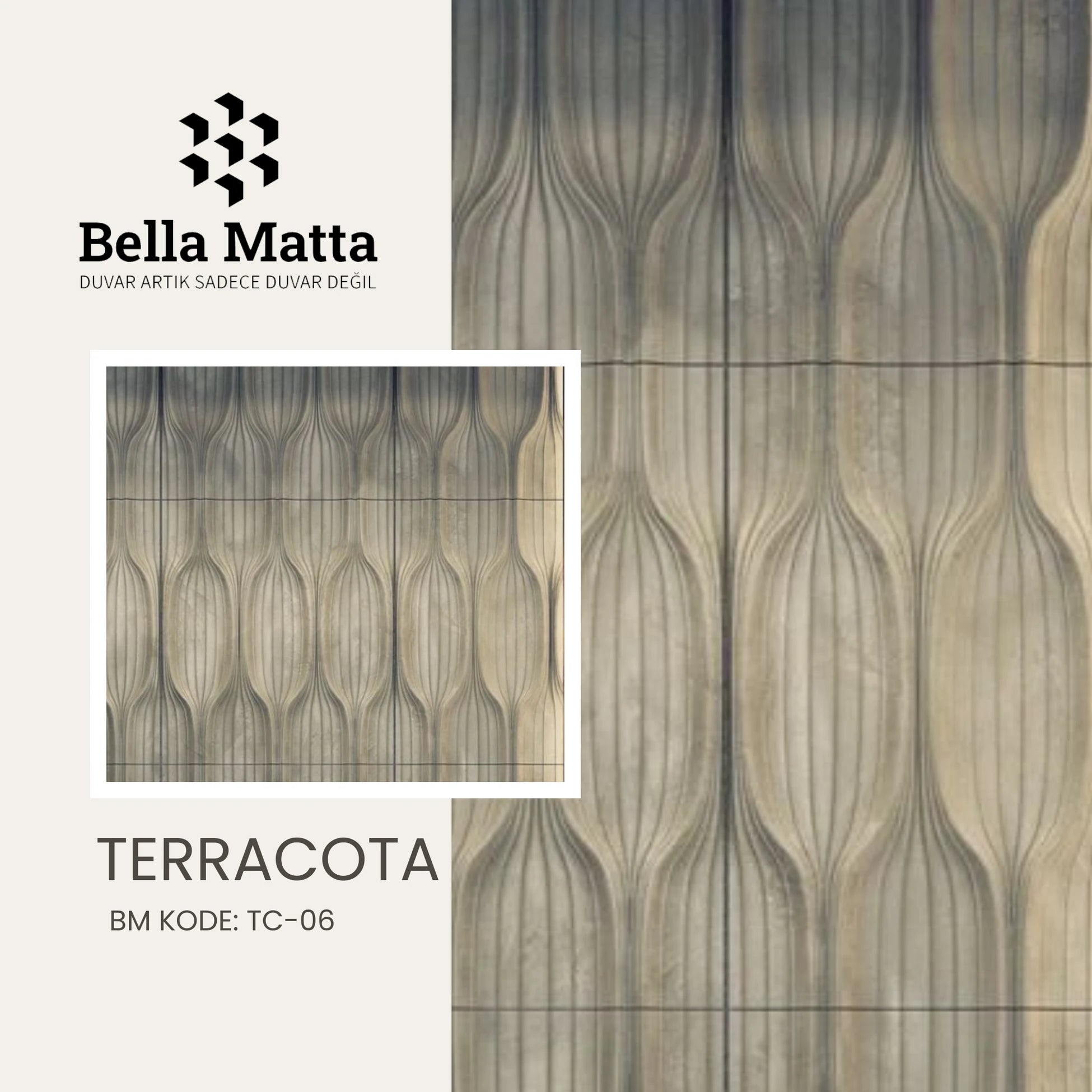TERRA
